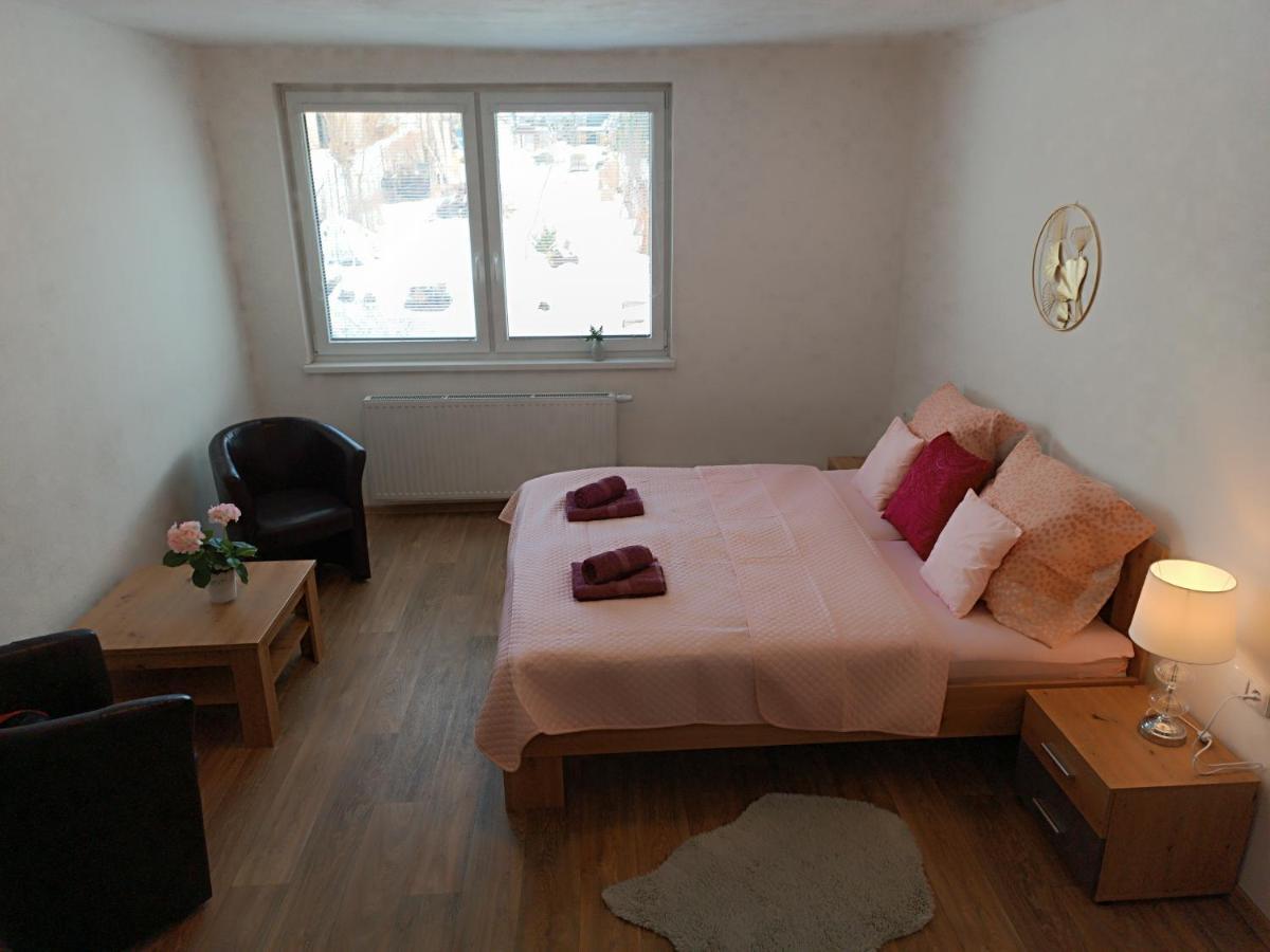 Tina Apartments Černá v Pošumaví エクステリア 写真